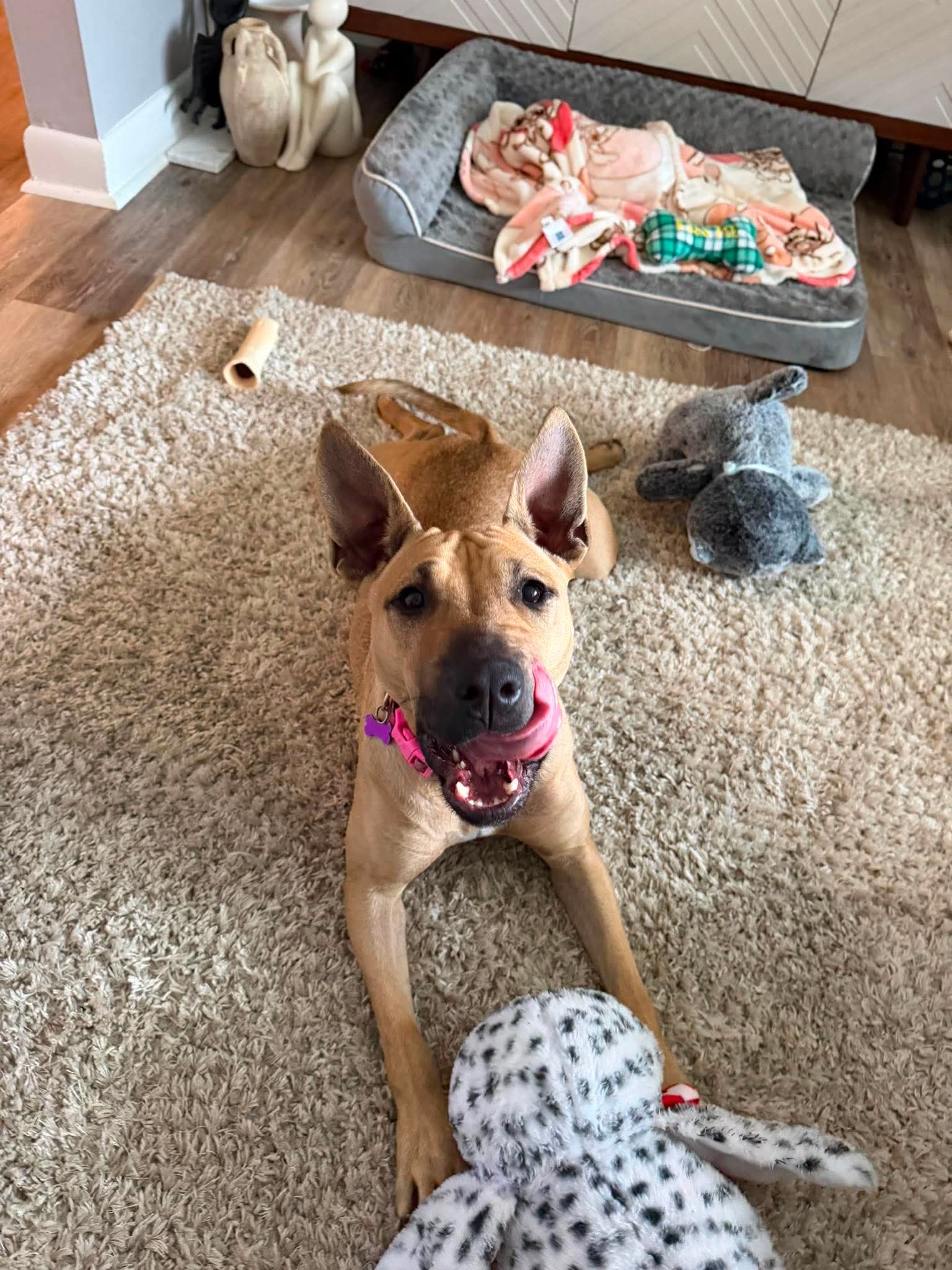 Libby Sunshine