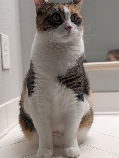 KIKI