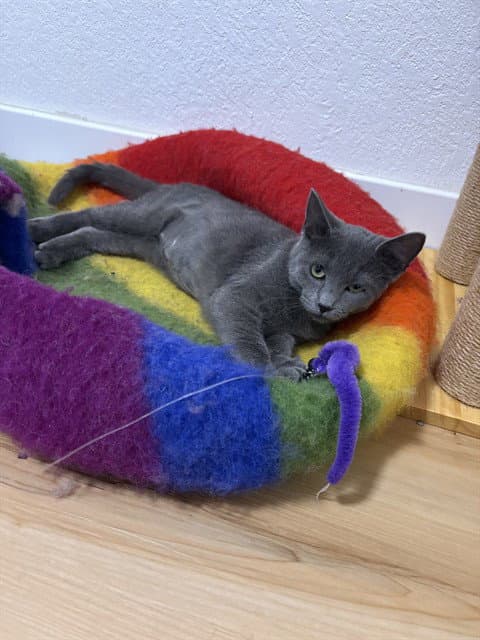 DUST BUNNY