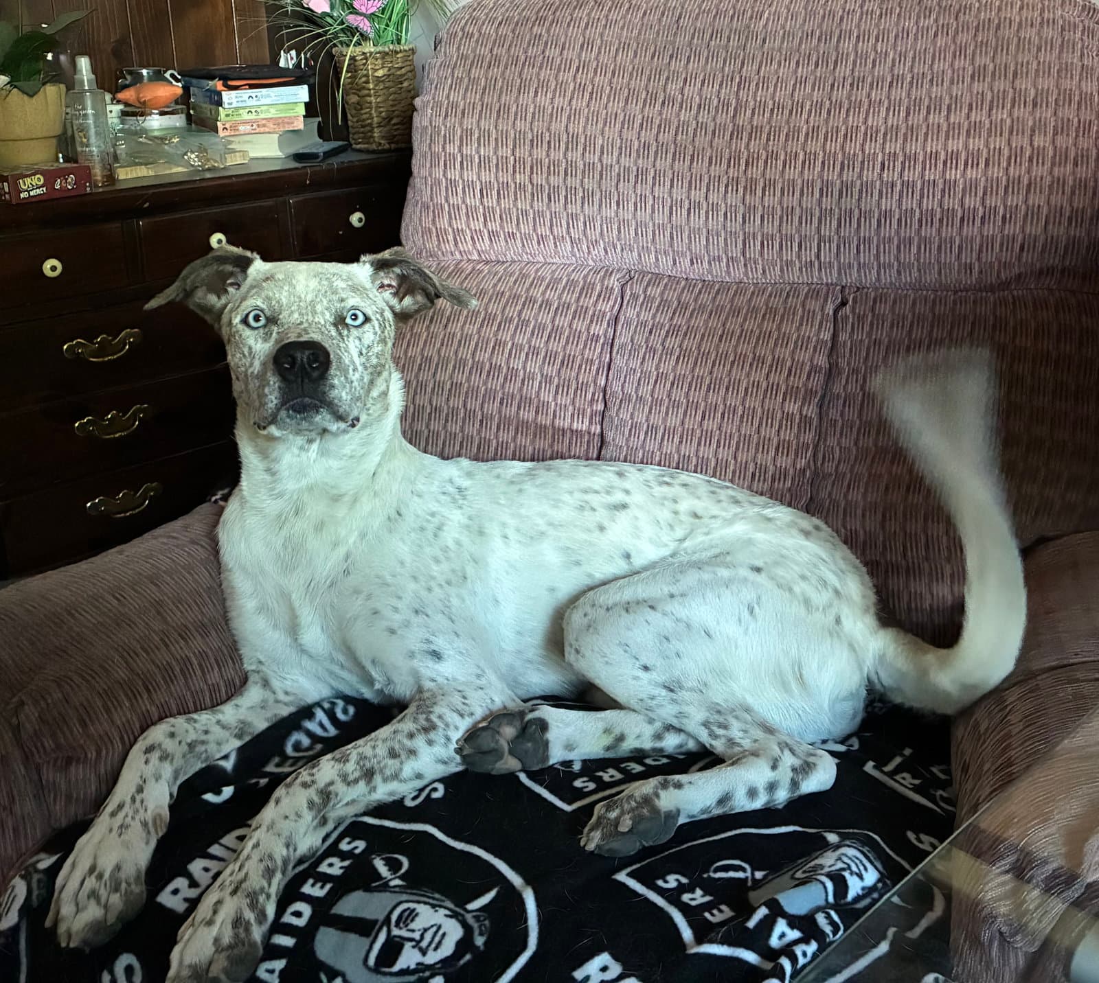 King Bumi