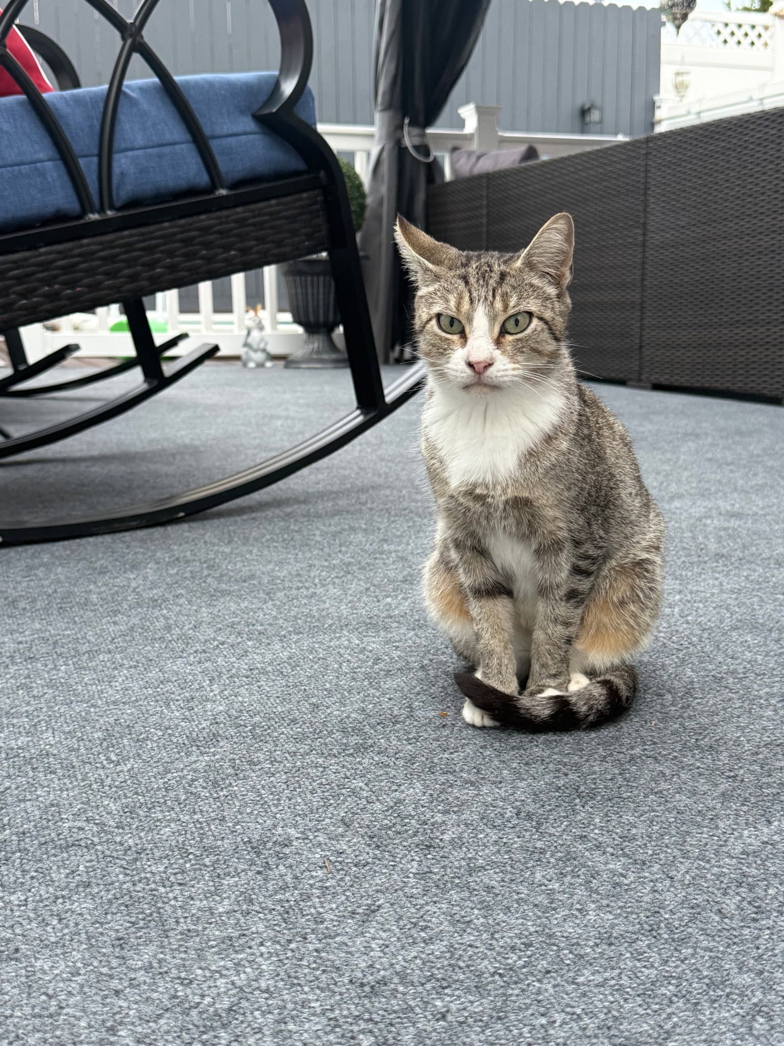 Talula