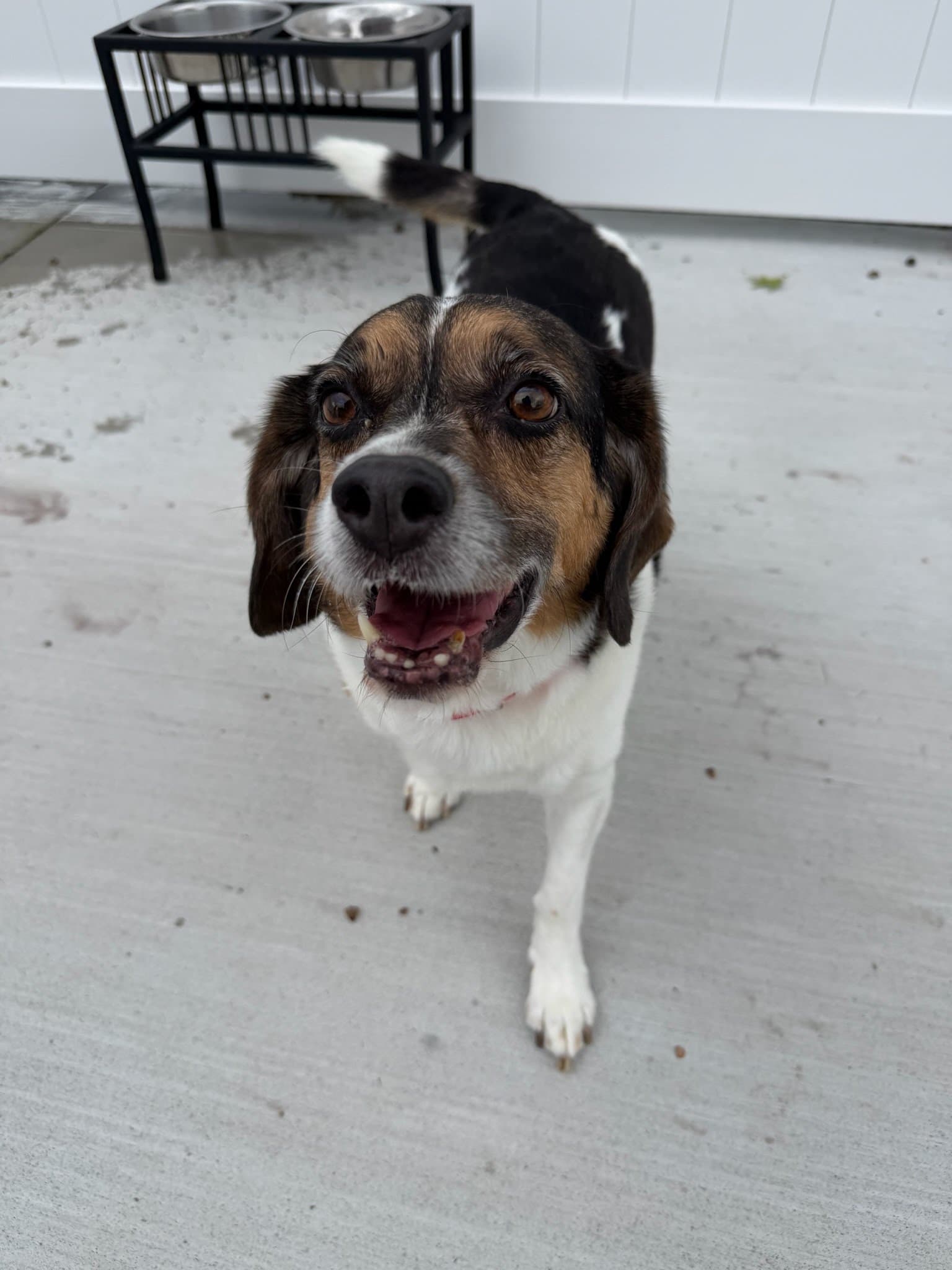 Max