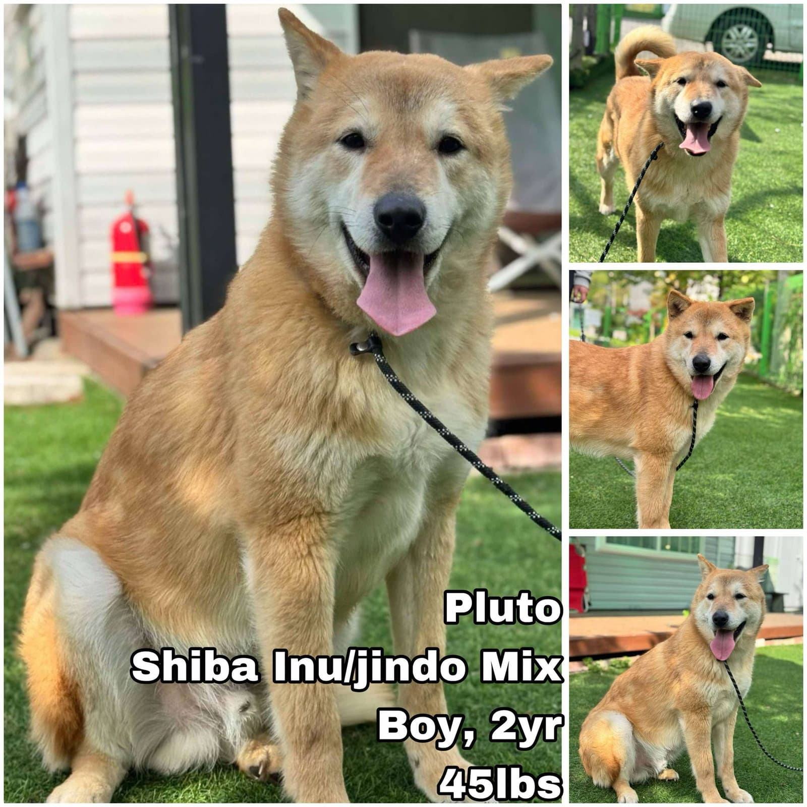Pluto from Korea