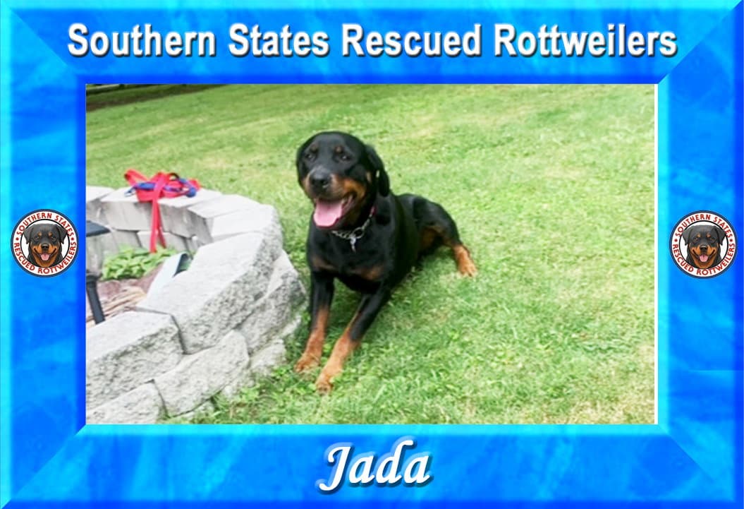 Jada