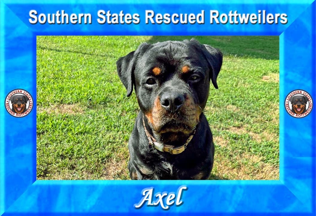Axel