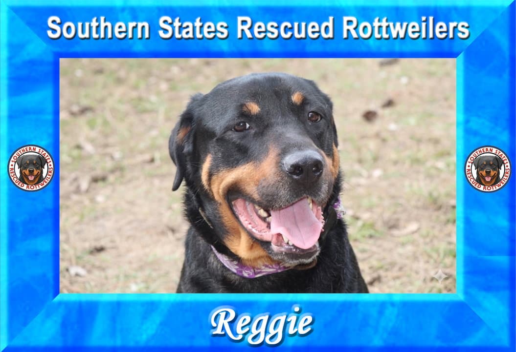 Reggie