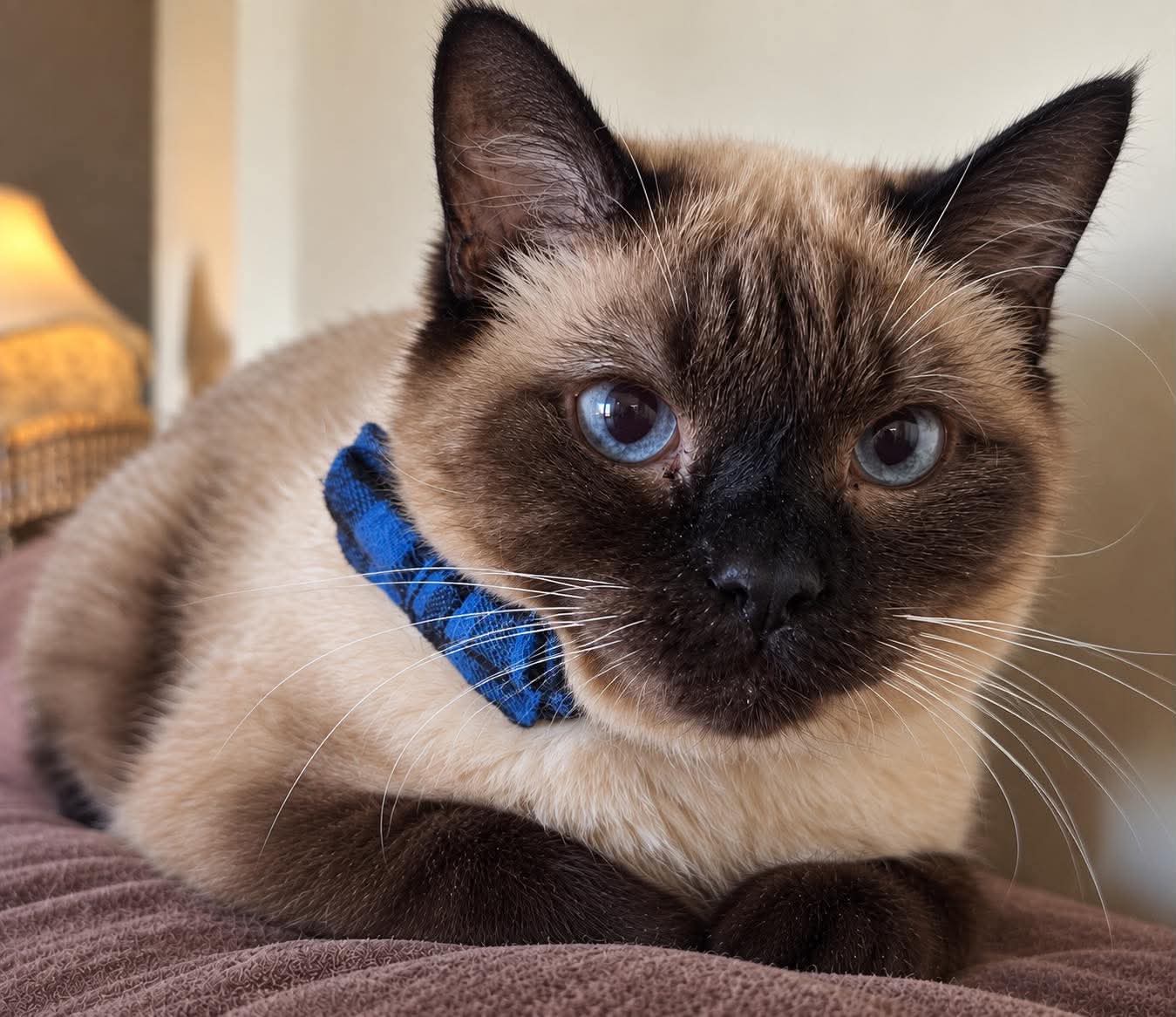 Max