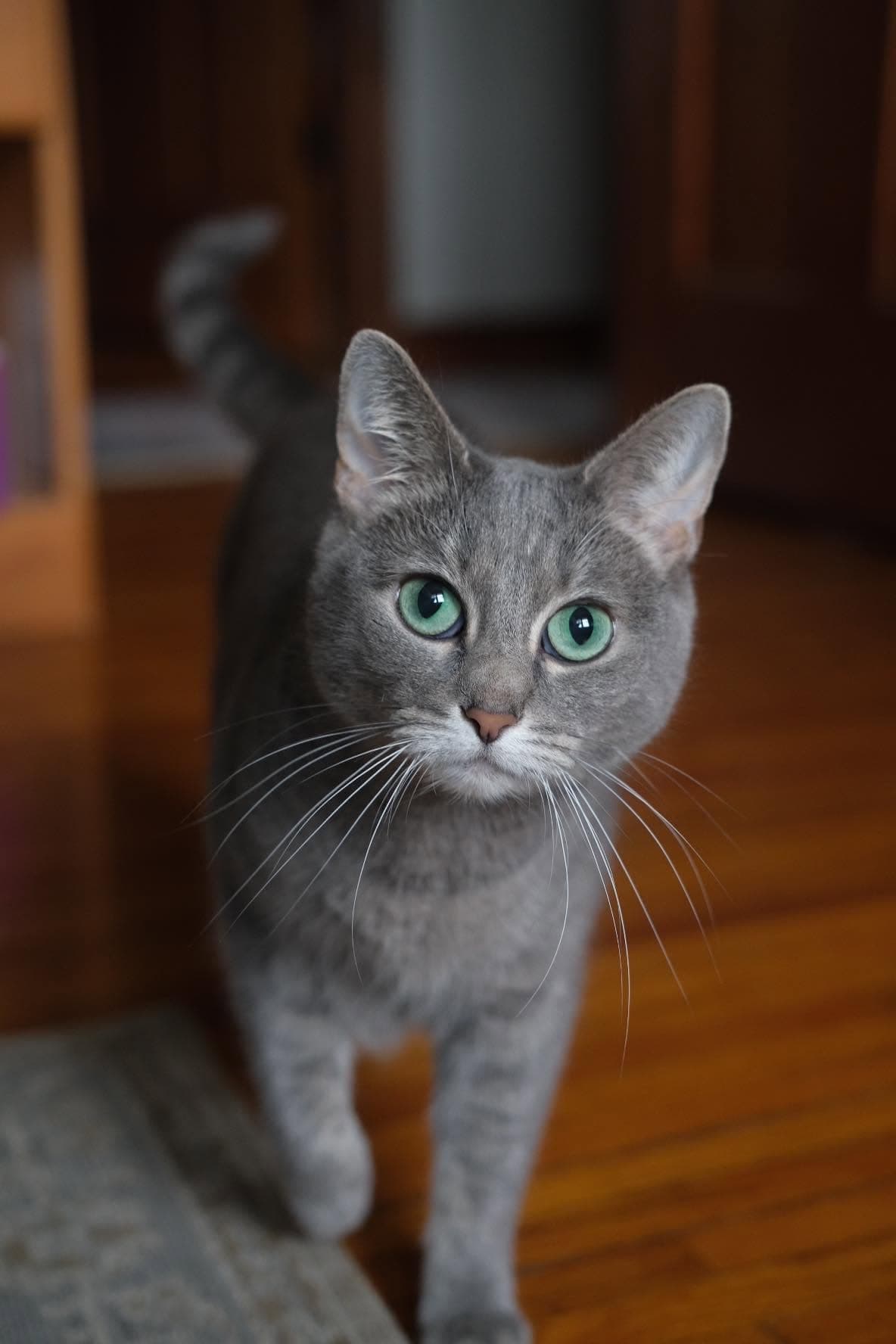 Smokey