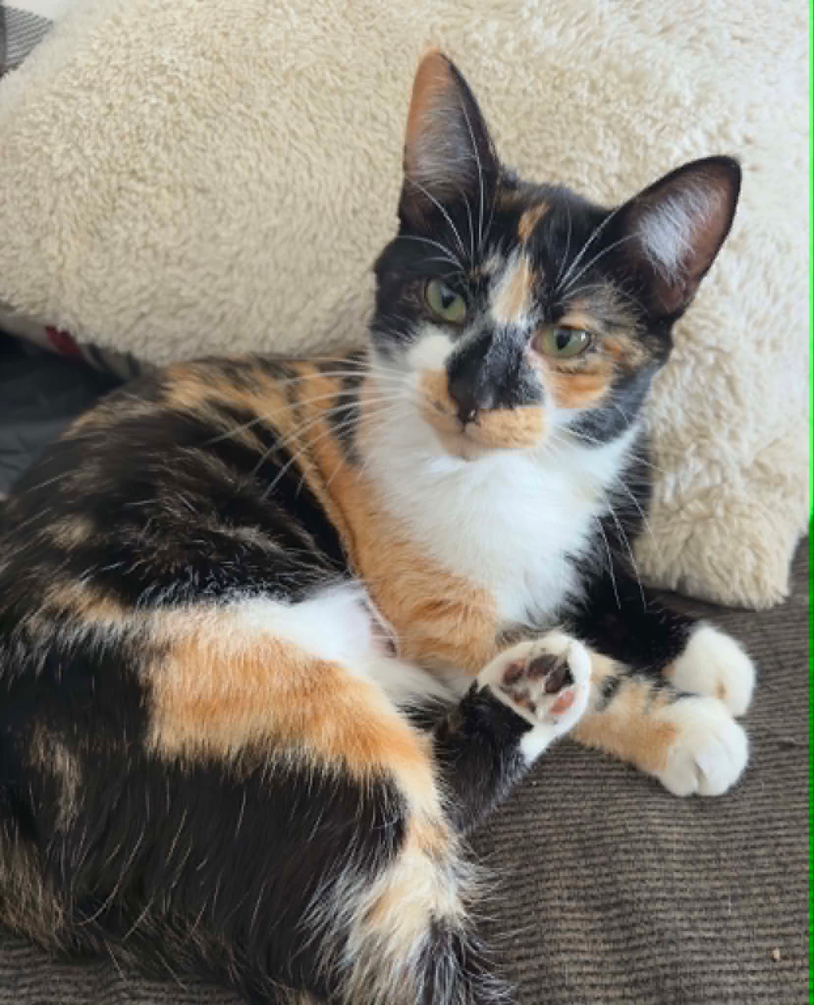 Bernadette