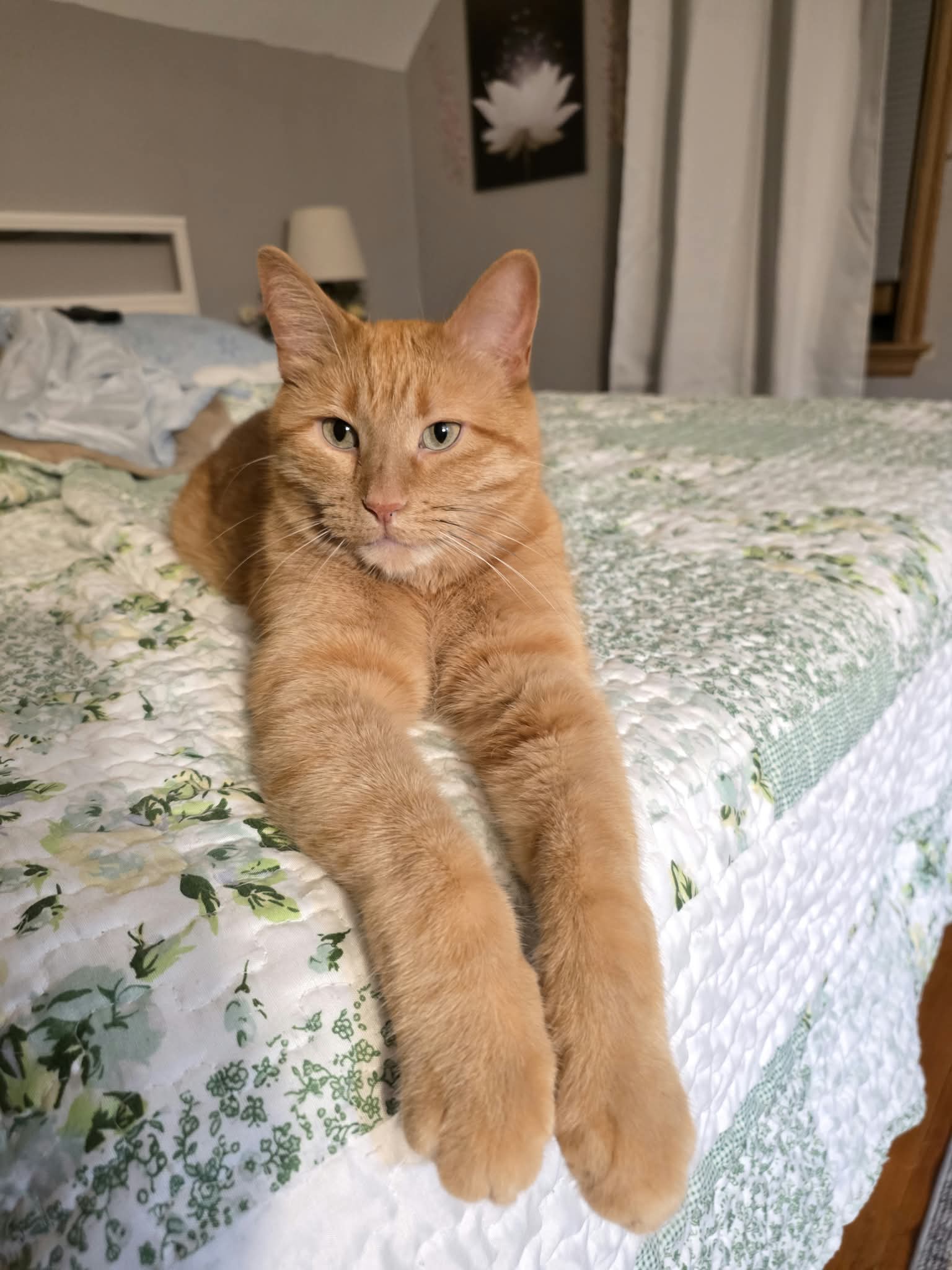 Bert