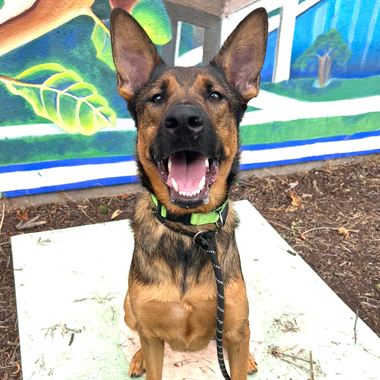 Zeke