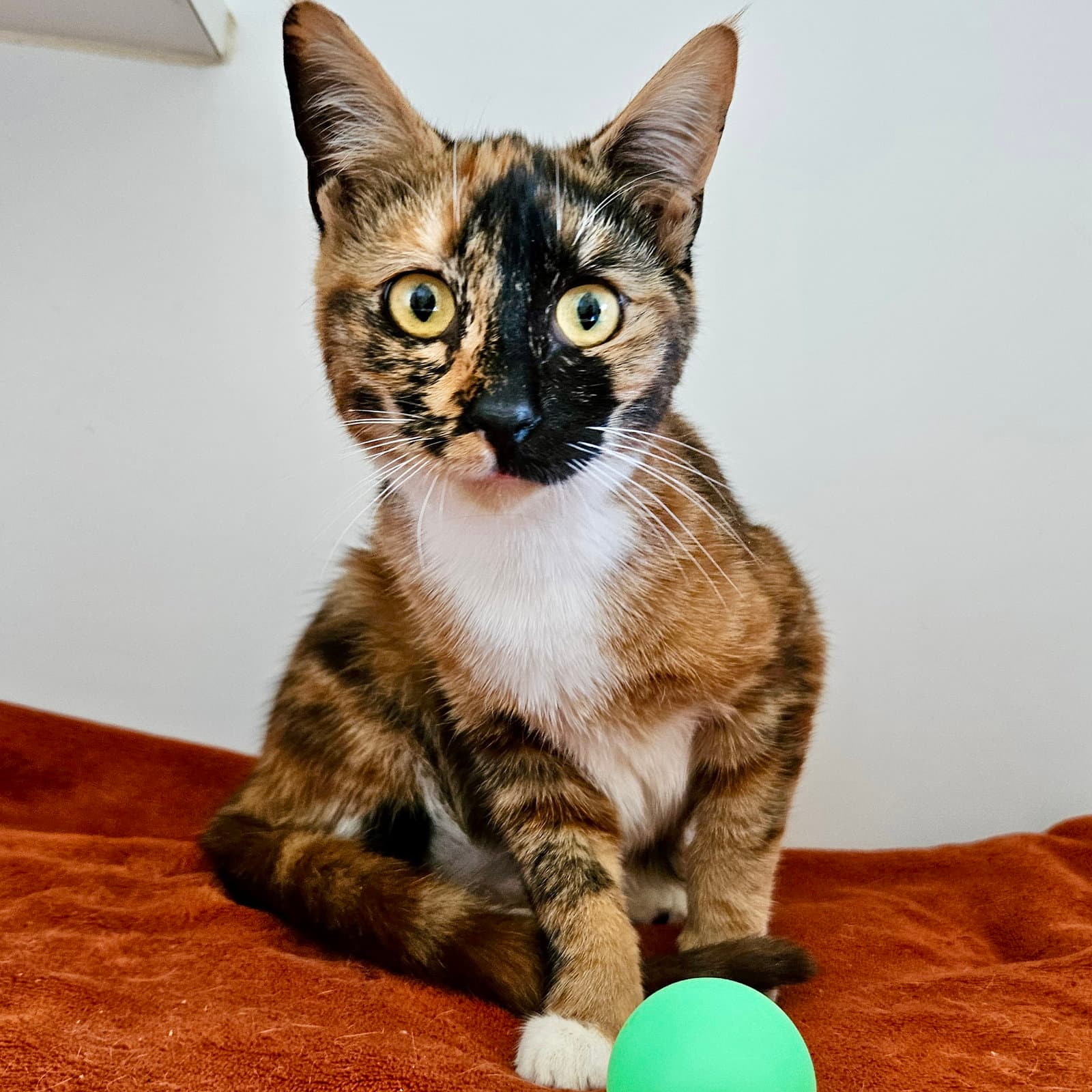Iris (bonded w/ Selene)