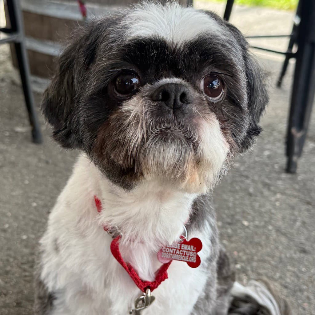 Max