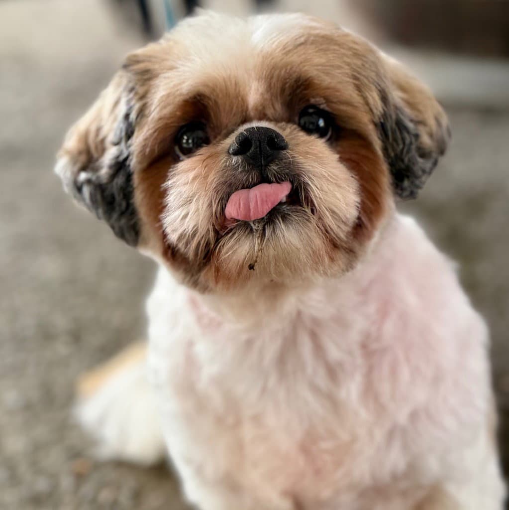 Minnie