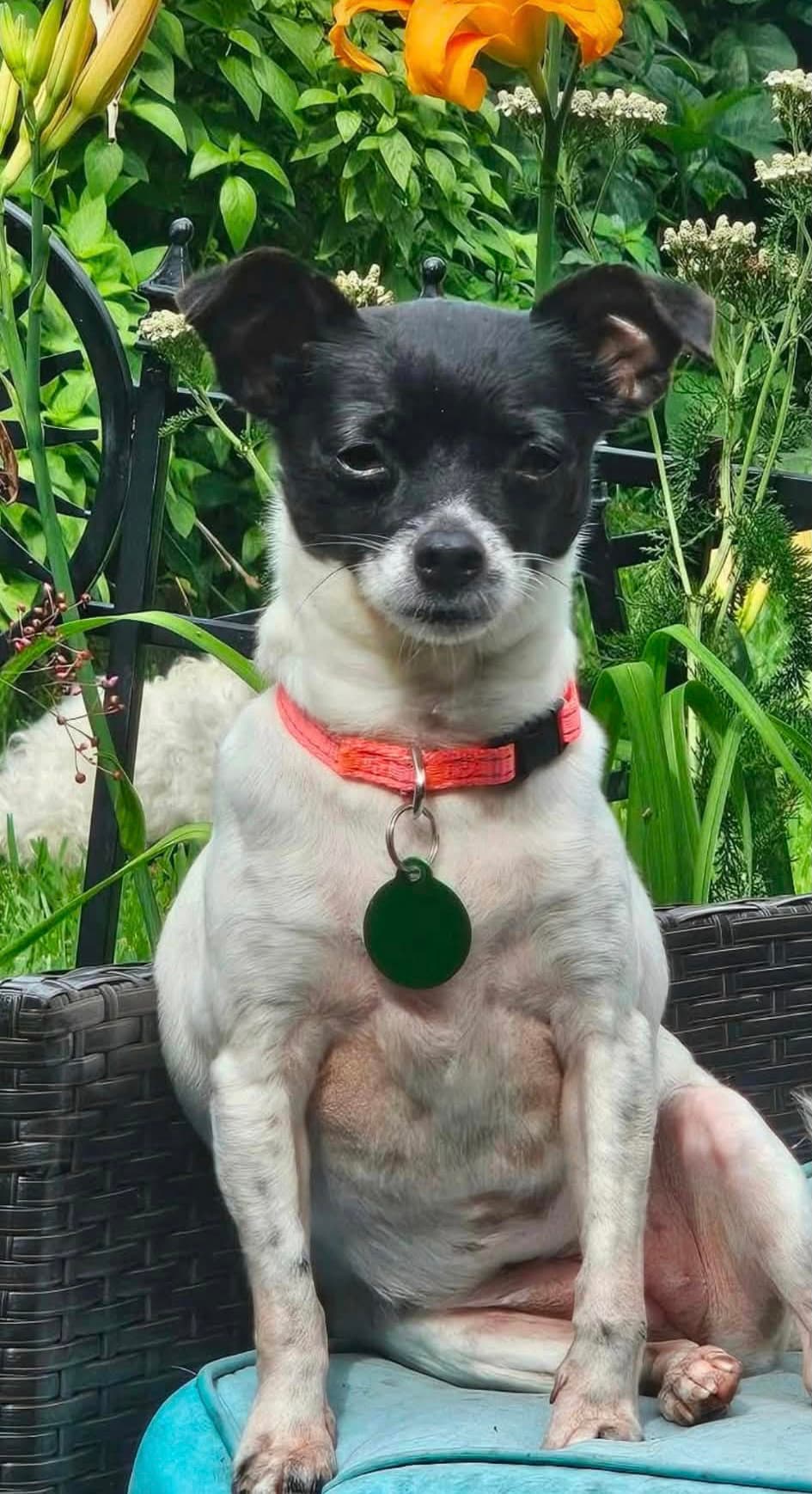 Missy