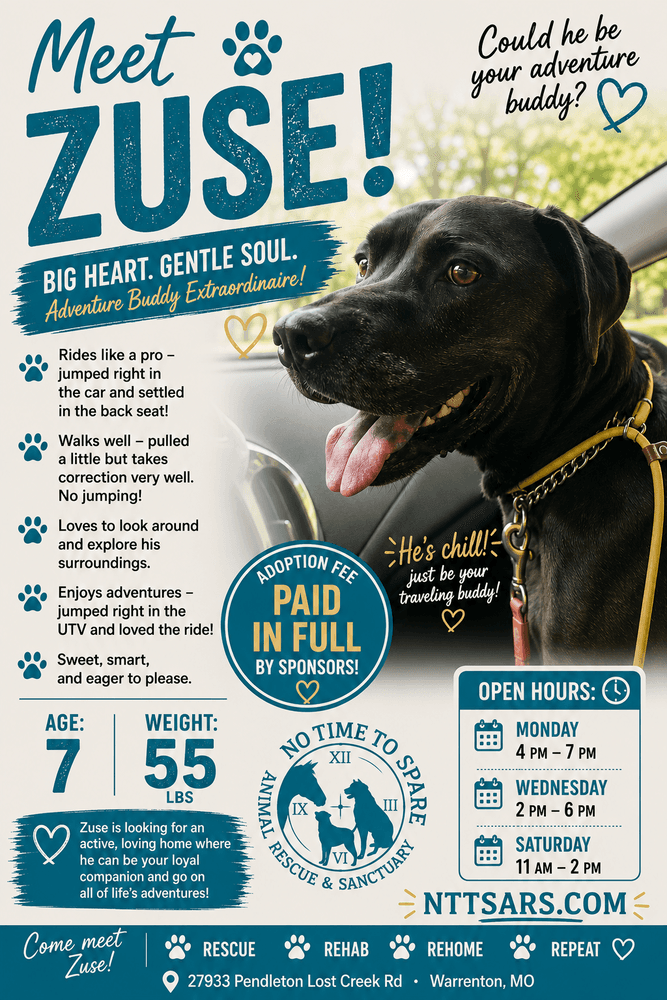 Zuse