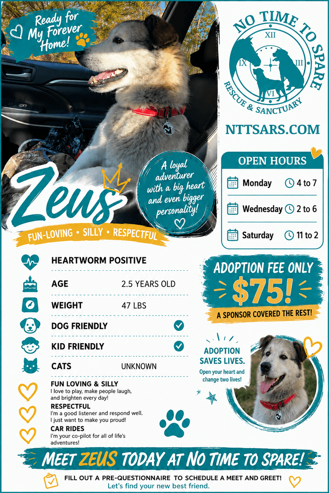 Zeus