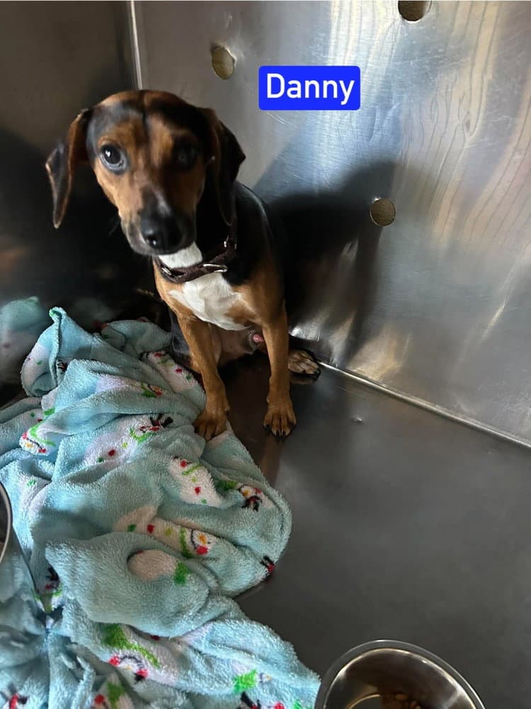 Sf Danny