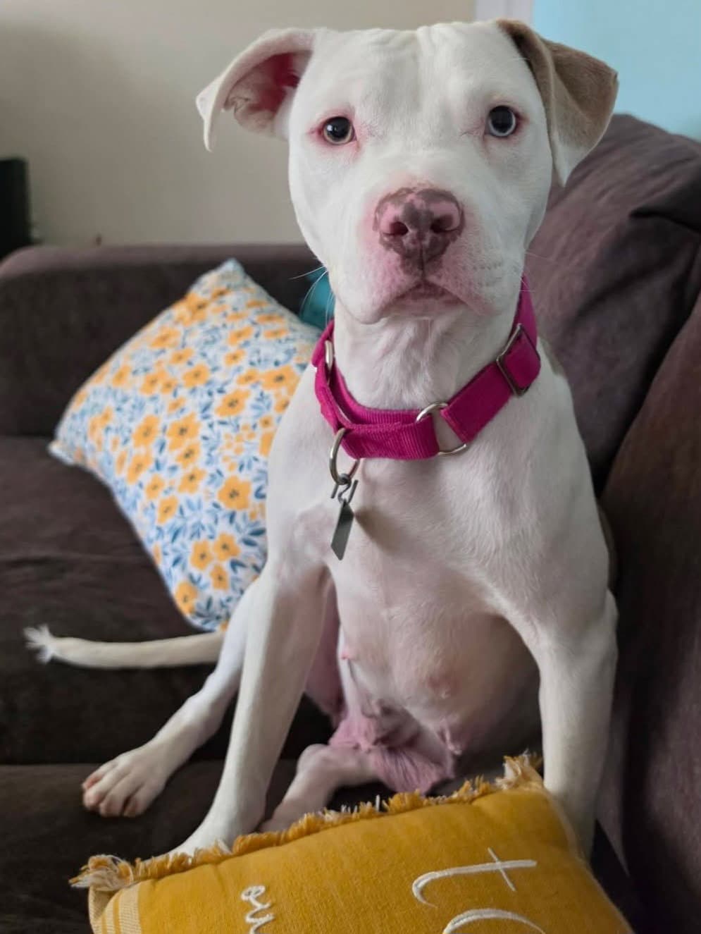 Lottie *TRANSPORTATION AVAILABLE*