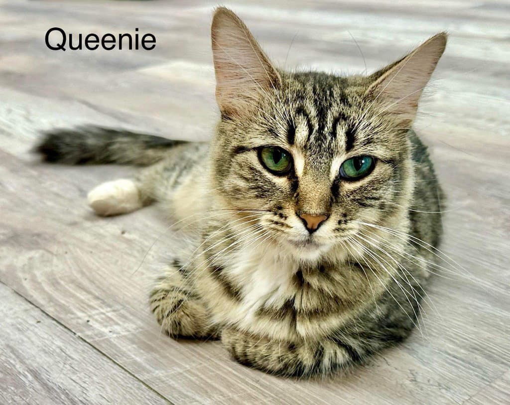 Queenie