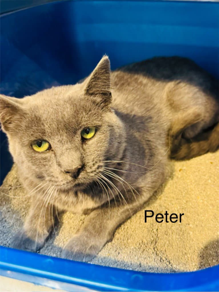 Peter