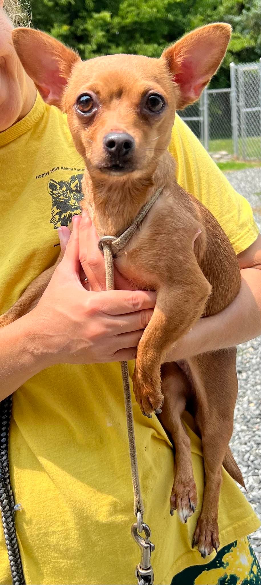 Zoey