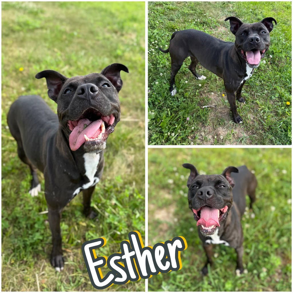 Esther - Fee Waived