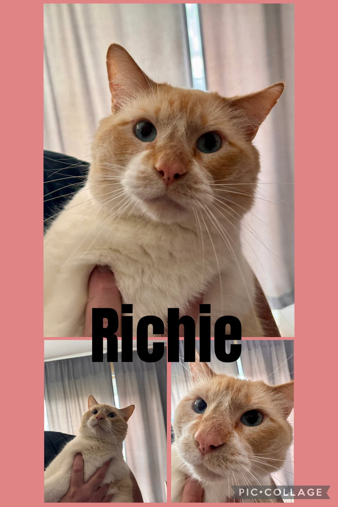 Richie