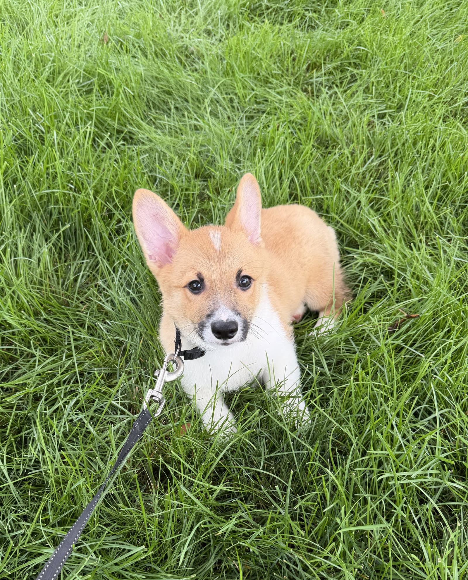 Rusty