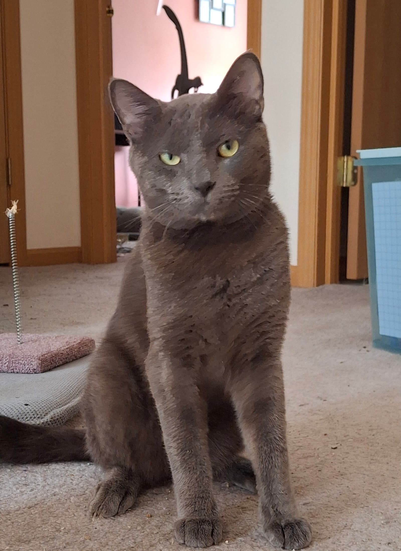 Sebastian