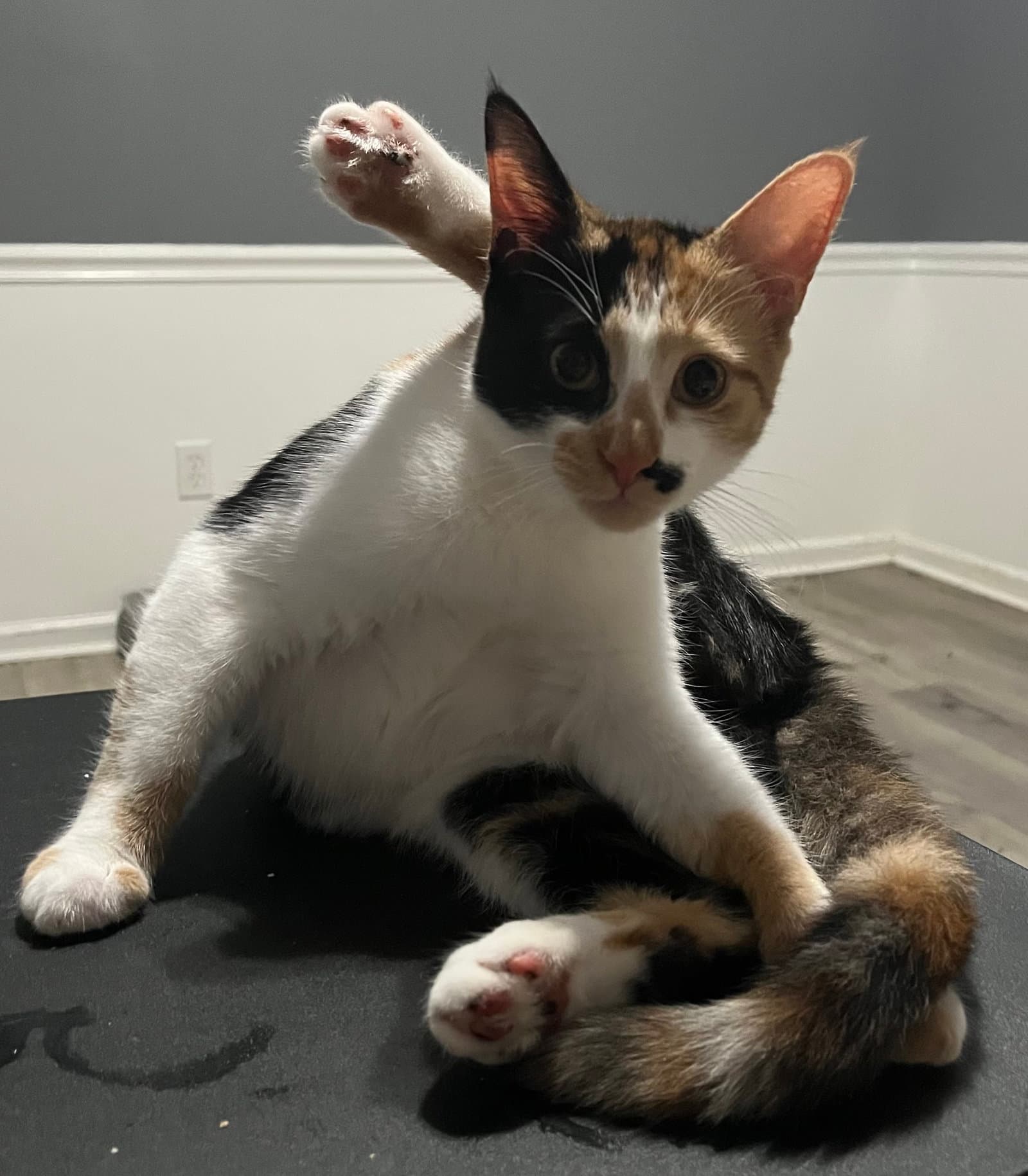 Darla