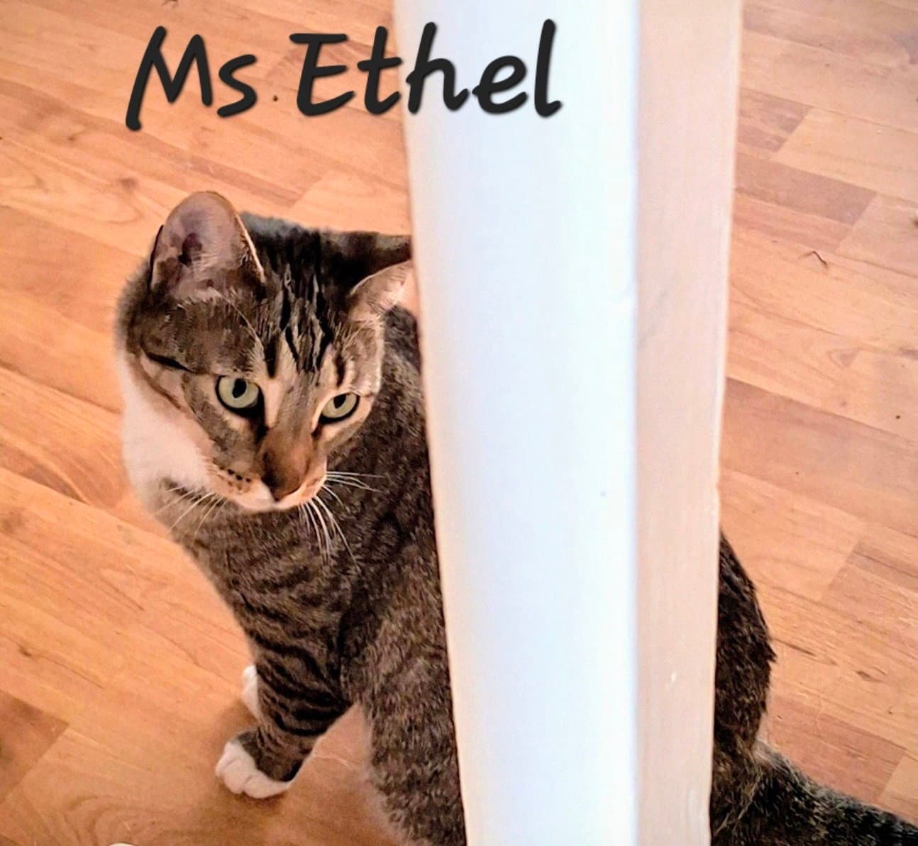 Ms Ethel #low-maintenance