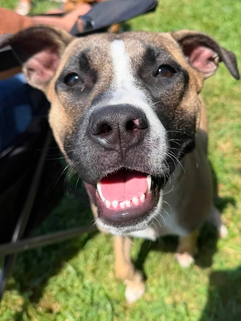 Murphy