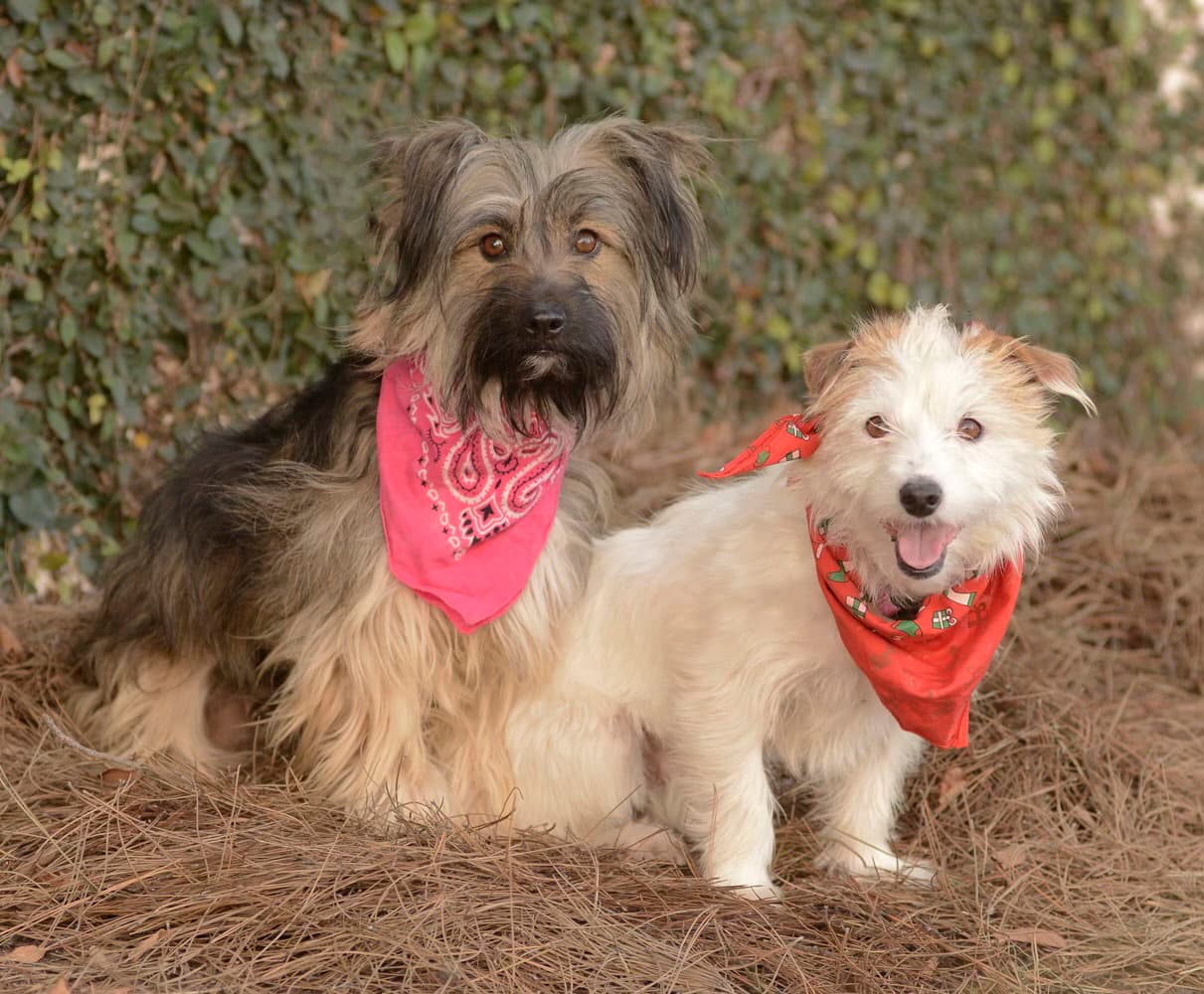 Ella and Shelby