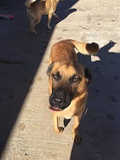 Durango