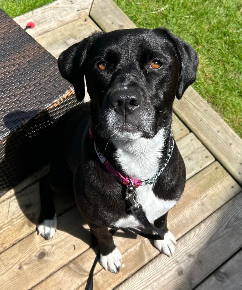 Lucy