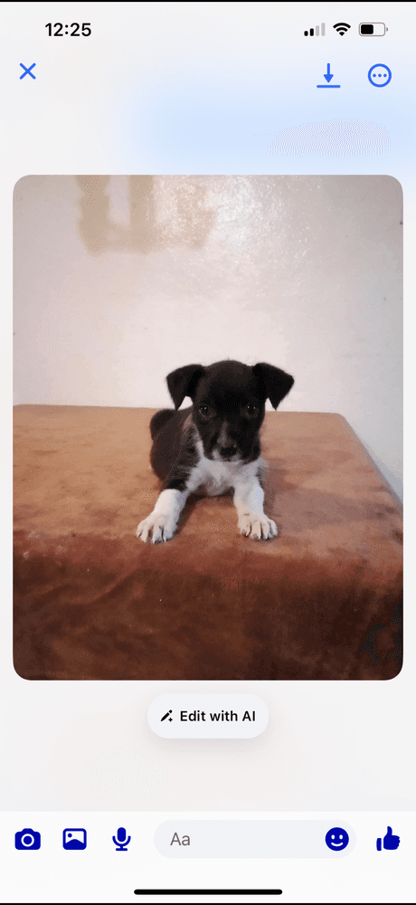 Ranger