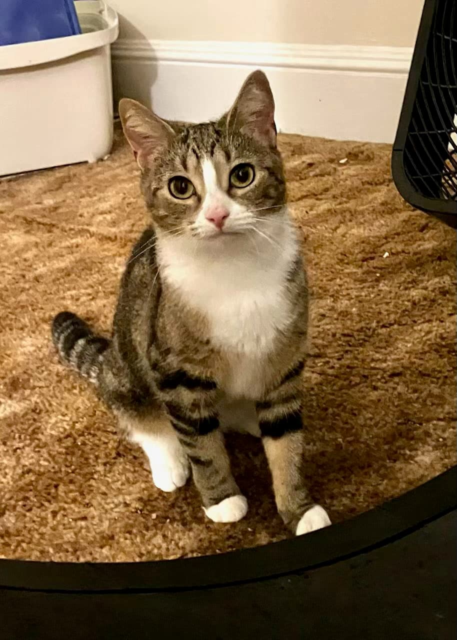 Eleanor