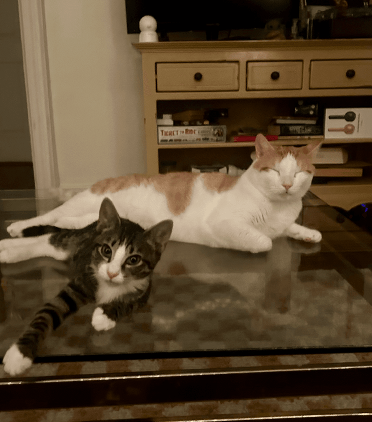 Tony and Ferris