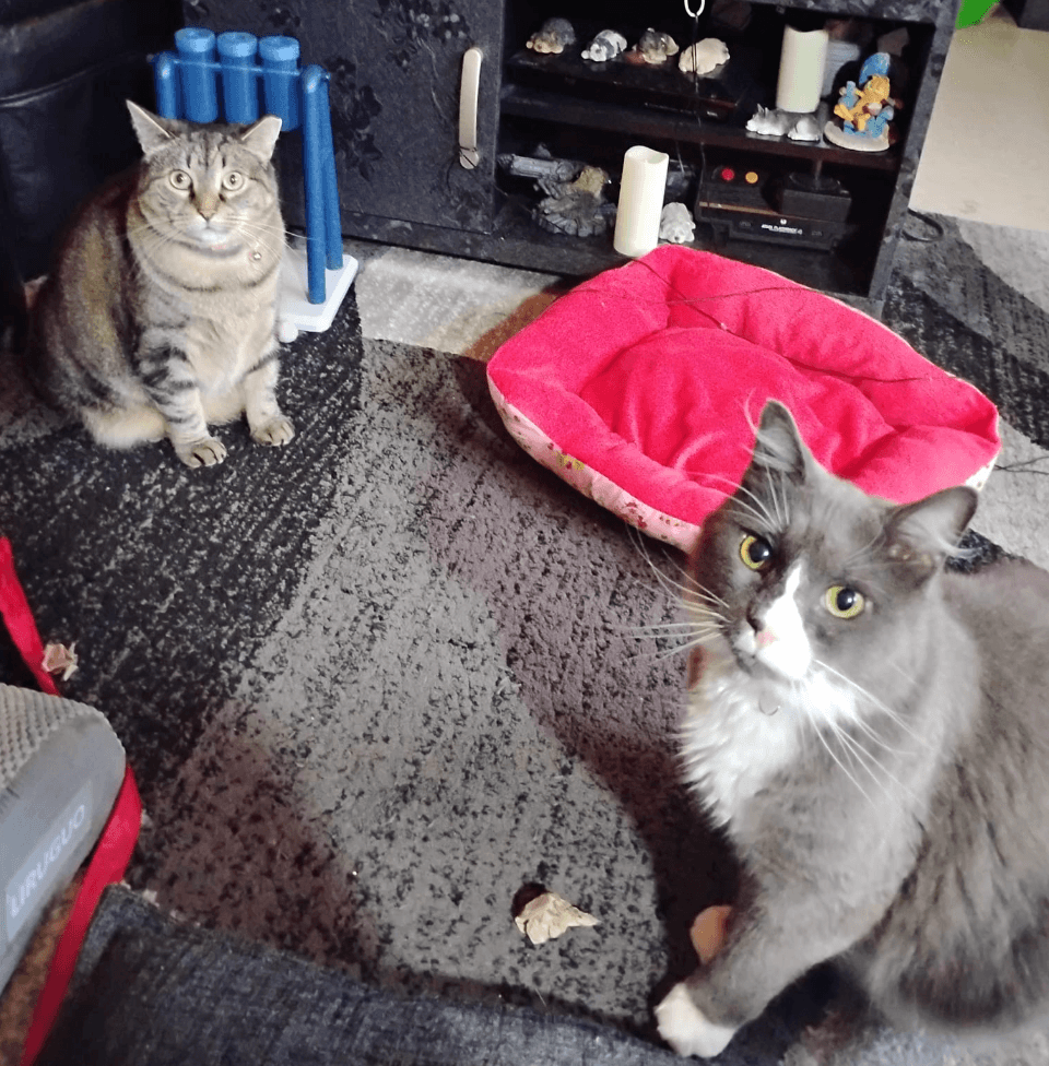 Willow and Flopper
