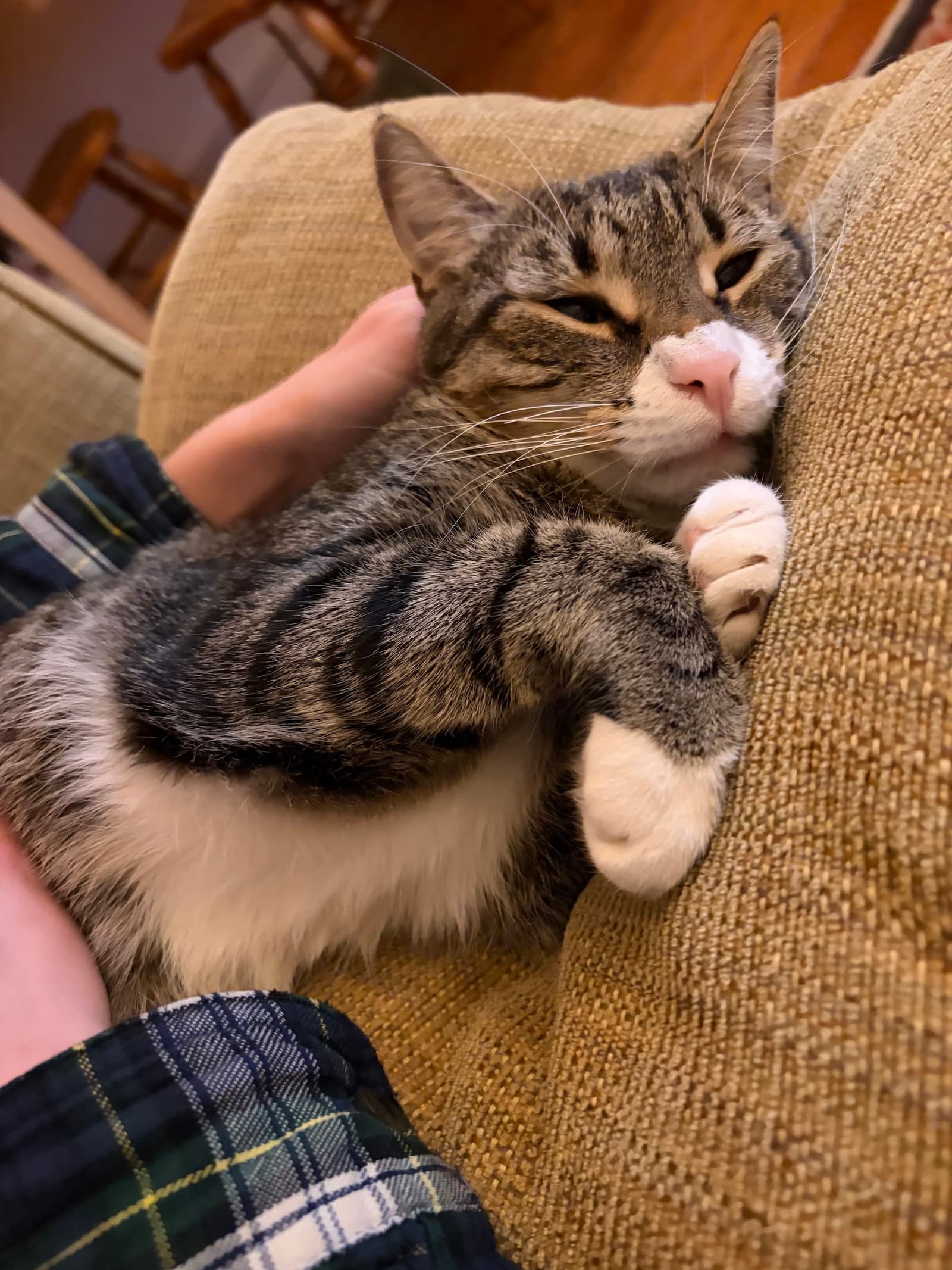 Sammy