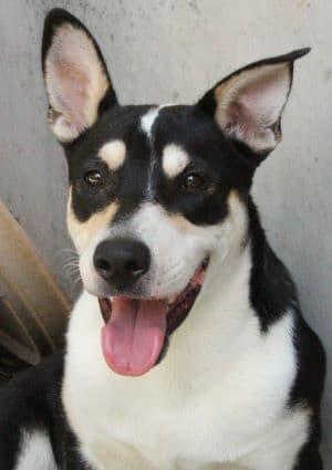 Lorenzo