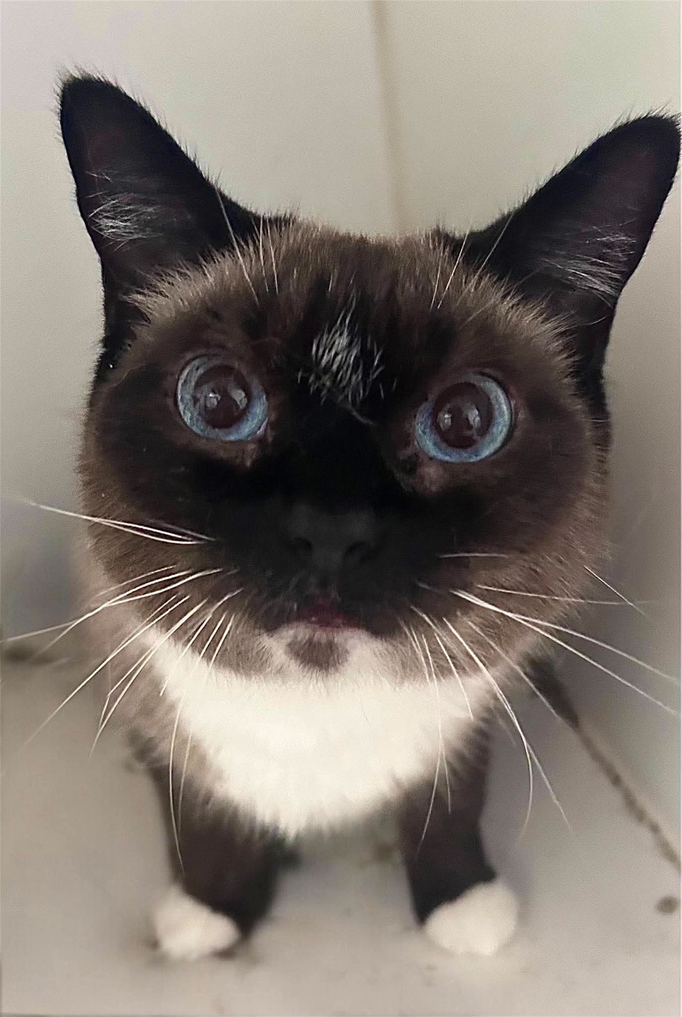 Mia