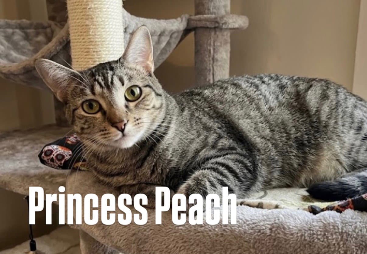 Princess Peach