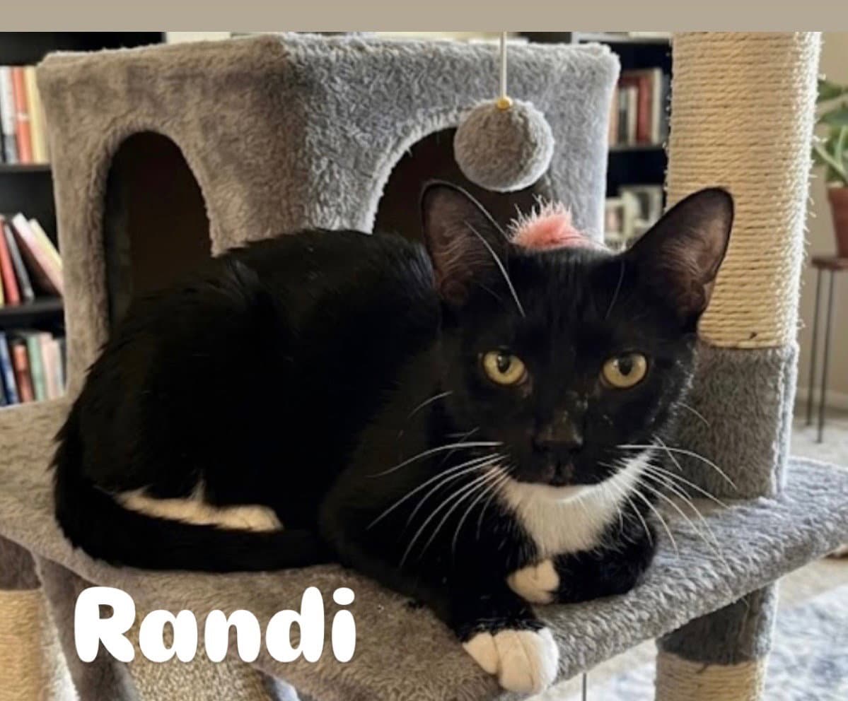 Randi