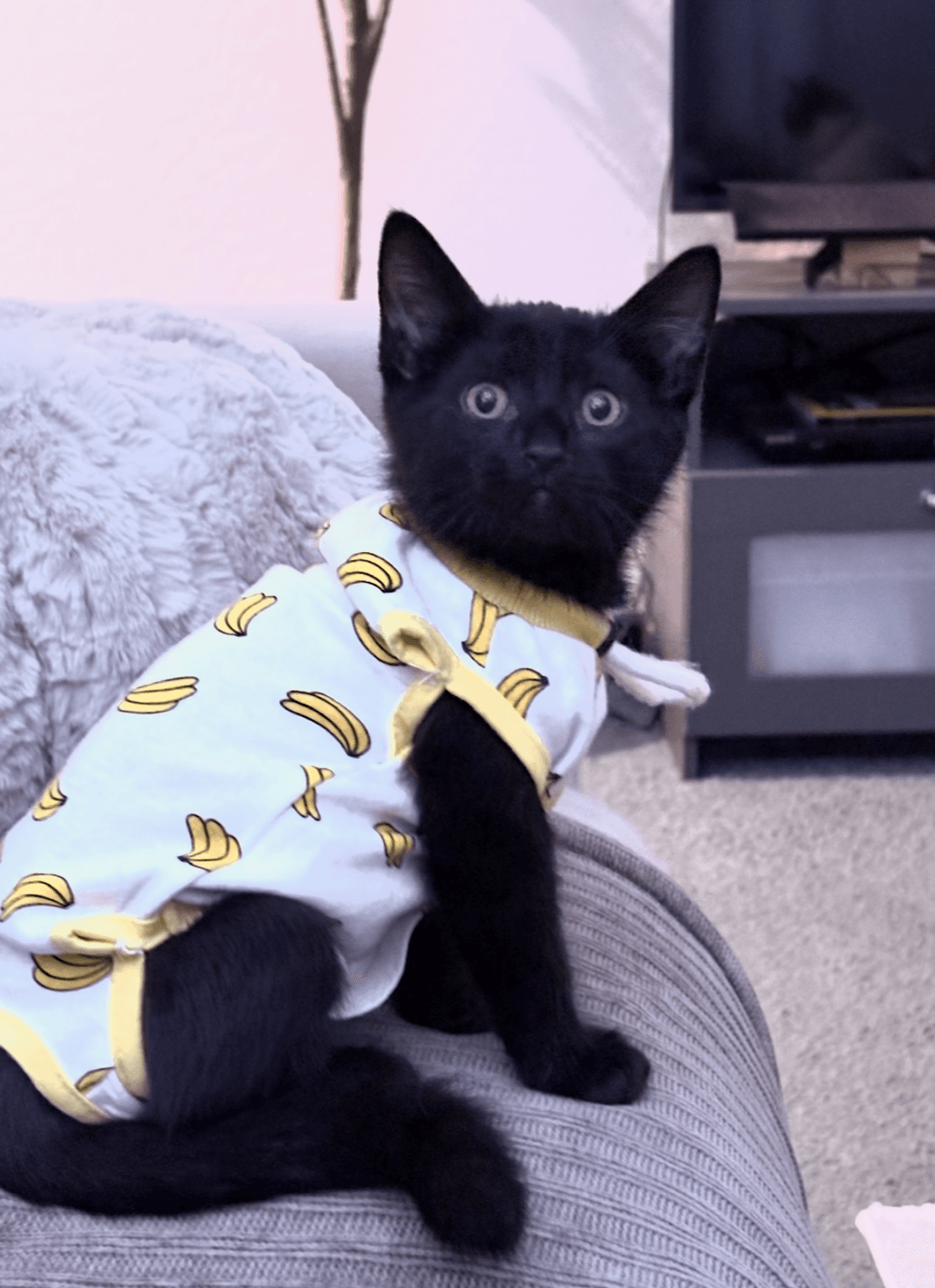 Binx
