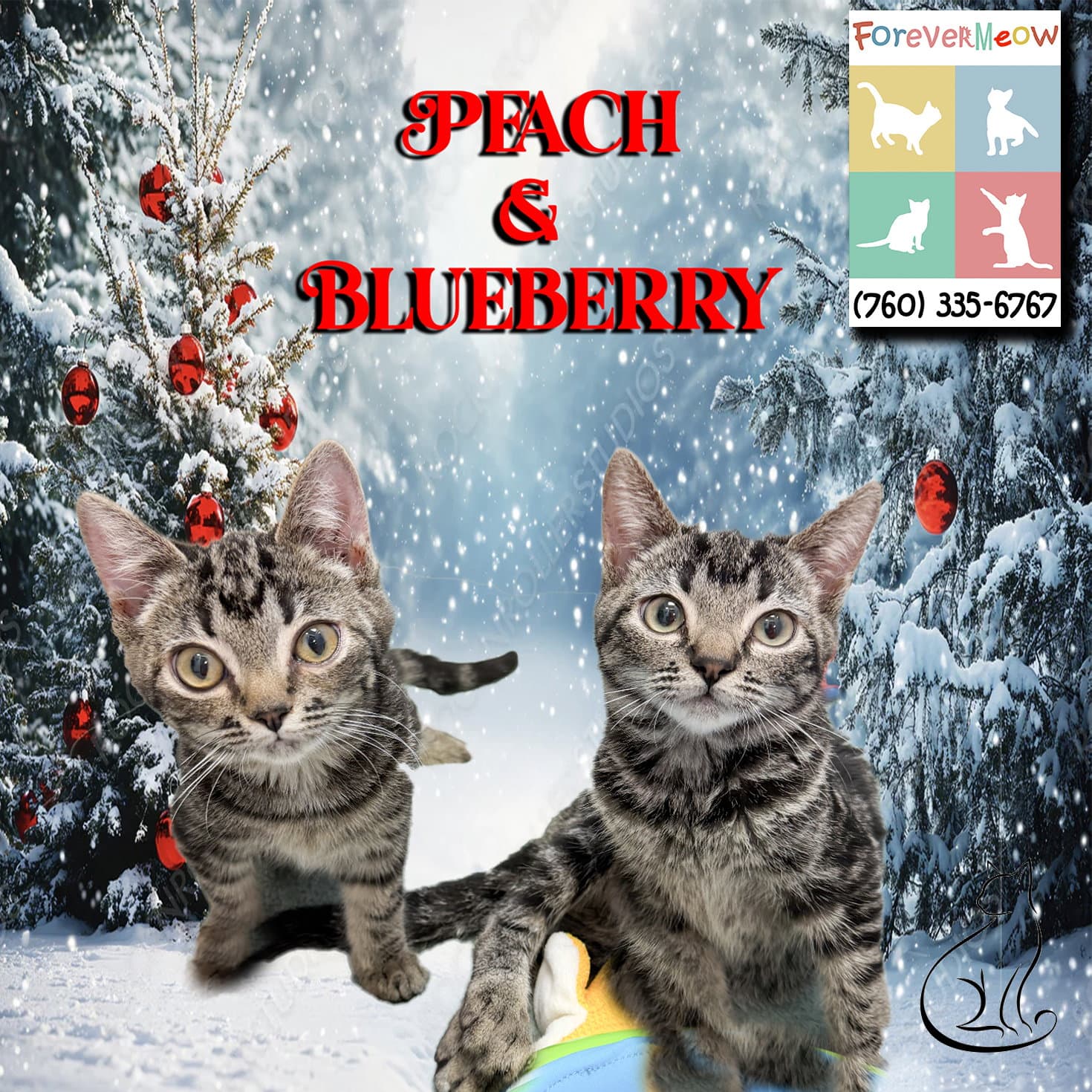 Peach & Blueberry