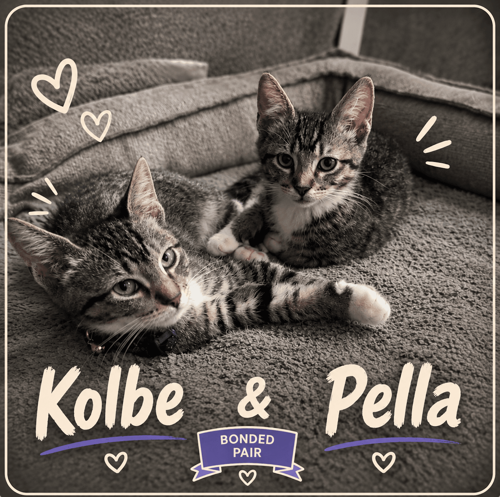 Kolbe & Pella