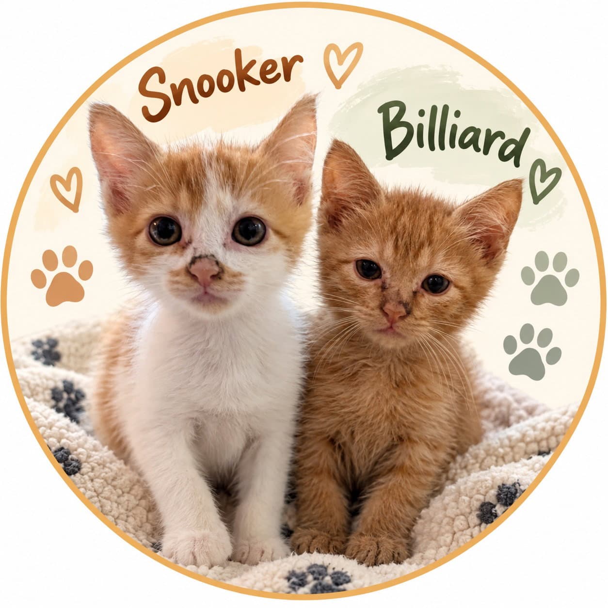 Billiards & Snooker