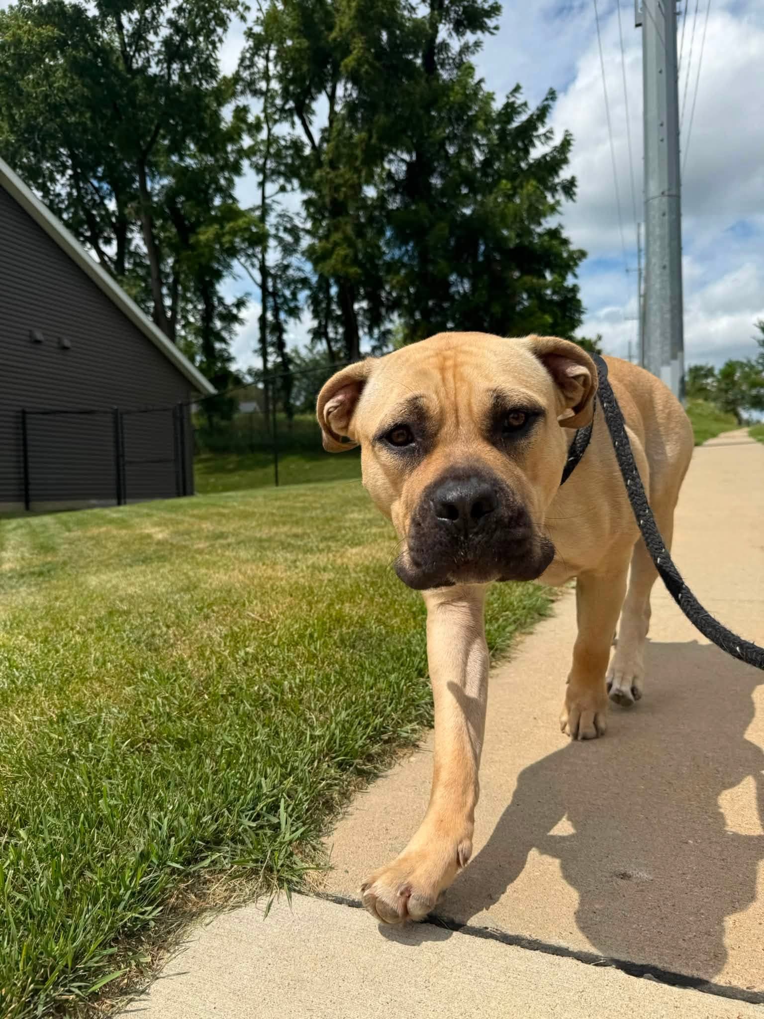 Ella Mae